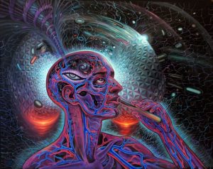 dmt iperspazio osservazioni